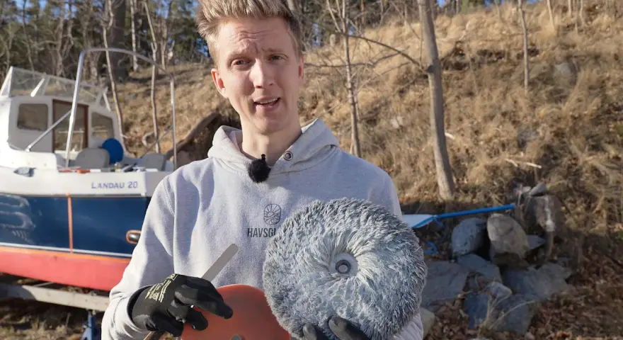 Man visar polertrissor för att tvätta båten.